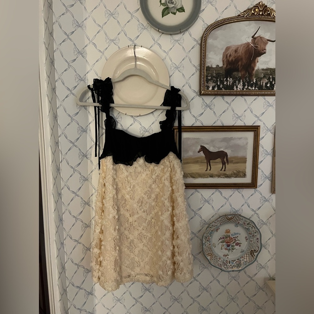 Shein(I know😭) Cream Lace Slip with Floral Appliqué